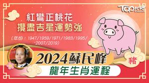 蘇民峰风水|2024年龍年布局｜蘇民峰教家居風水布局 趨旺財運桃 